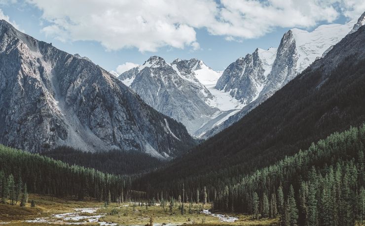 移民孟加拉中介公司